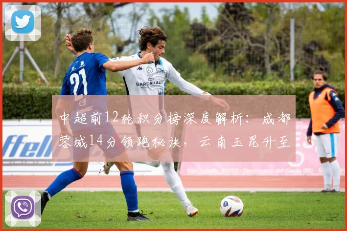 中超前12轮积分榜深度解析：成都蓉城14分领跑秘诀，云南玉昆升至第三的背后
